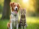 8-monate-flohhalsband-hund-lohnt-sich-die-lange-schutzdauer