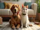 flohhalsband-allergie-das-solltest-du-als-tierhalter-unbedingt-wissen