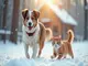 flohhalsband-auch-im-winter-warum-dein-tier-schutz-braucht