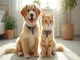 flohhalsband-bayer-schutz-fuer-hund-und-katze-im-vergleich