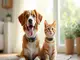 flohhalsband-hund-ab-wann-verwenden-alle-antworten-fuer-dein-tier