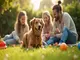 flohhalsband-hund-kinder-so-schuetzt-du-deine-familie-und-deinen-vierbeiner