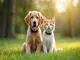 flohhalsband-hund-seresto-die-innovative-loesung-gegen-floehe-und-zecken