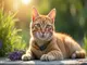 flohhalsband-katze-alternative-natuerliche-loesungen-fuer-deine-samtpfote